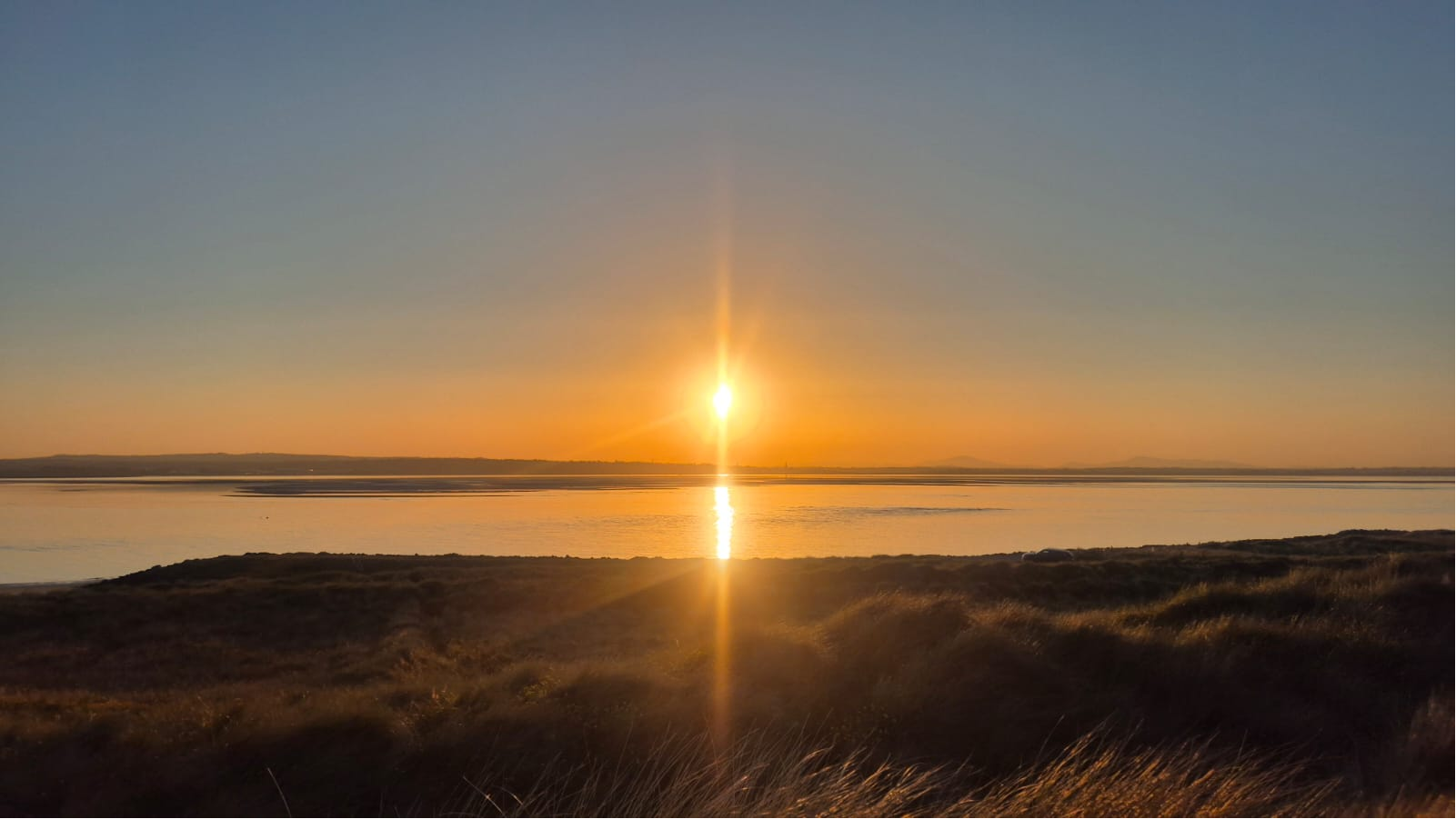 Golden sun over calm coastal water and grasses in Rosslare